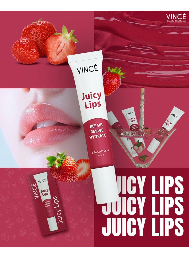 VINCE Juicy Lips Pack Of 2 – Long-Lasting Moisture for Dry, Chapped Lips, Softens & Soothes with Shea Butter & 4 Natural Oils – Enhances Natural Lip Color, Non-Greasy, Pocket-Friendly, Unisex – Paraben-Free, 10ml Each - Image 2
